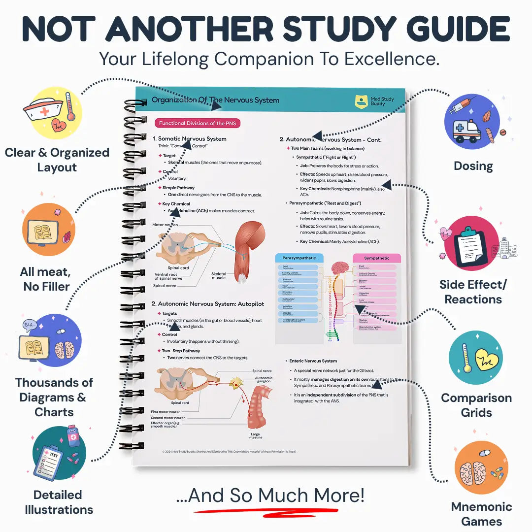 Medicine Study Buddy - COMPLETE BUNDLE