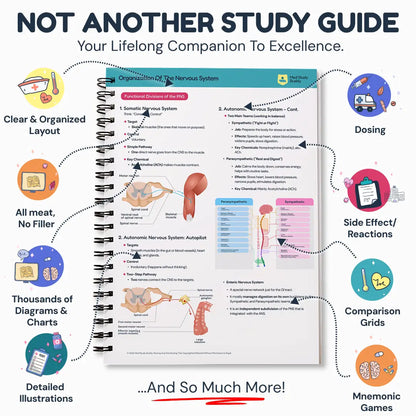 Medicine Study Buddy - COMPLETE BUNDLE
